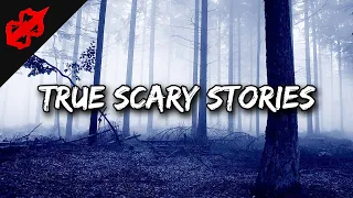 Scary Stories For A Long And Restless Night