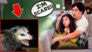 An AGGRESSIVE OPOSSUM Broke into Our HOUSE in The MIDDLE of The NIGHT!! | Jancy Family