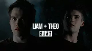 Liam + Theo || Stay (+6b)