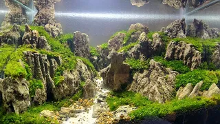 #39 Aquascape batu pasir