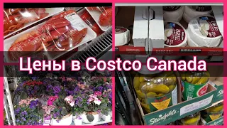 Закупка в Costco. Пробуем новое. Цены в Костко Канада. Мы в Канаде. Канада иммиграция