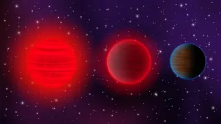 Timeline of a L, T and Y brown dwarf system