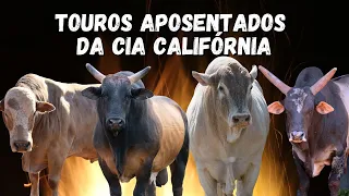 TOUROS APOSENTADOS DA CIA CALIFÓRNIA