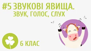 Звукові явища. Звук, голос, слух #5