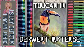 TOUCAN IN INKTENSE WITH VOICEOVER