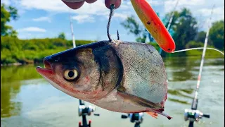 Floating GIANT Baits in Deep pools for MASSIVE Fish!!! (Monster after Monster!!!)