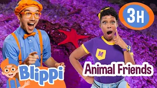 Meekah and Blippi's Animal Friends + More | Best Friend Adventures | Educational Videos for Kids