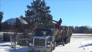 semi load of logs