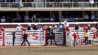 Saddle Bronc Riding at the Calgary Stampede July 5 2015