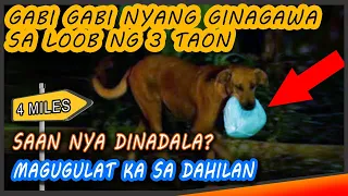 Ang Asong Gabi Gabing Nag Lalakad ng 4 miles sa loob ng Tatlong Taon, Anu Kaya Ang Totoong Dahilan?