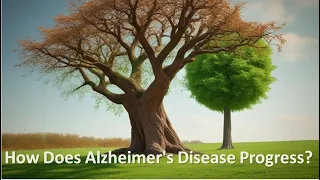 How Does Alzheimer's Disease Progress?