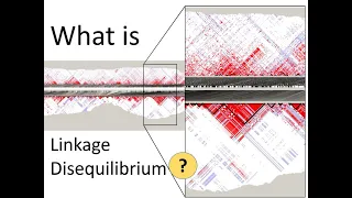 What is Linkage Disequilibrium? | Genomics