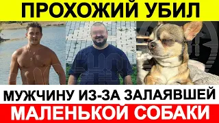 Прохожий убил мужчину из за залаявшей маленькой собаки 🔵 Новости сегодня