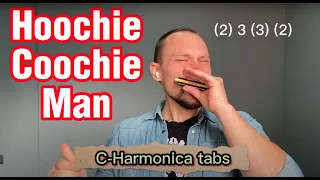 How to play Hoochie Coochie man - C Harmonica easy blues lesson