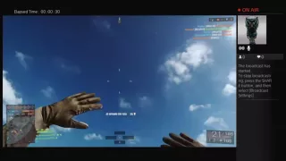 Bf4 glitch