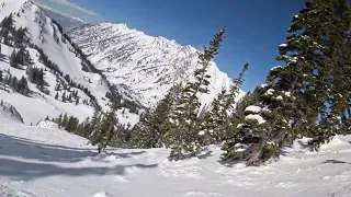 Snowbird Ski Resort: High Baldy