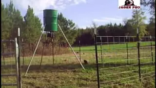 Wild Hog Trapping |(4) Using Video Intelligence To Improve Capture Success | JAGER PRO™