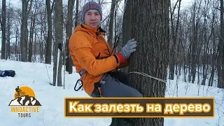 Как забраться на дерево с помощью верёвки