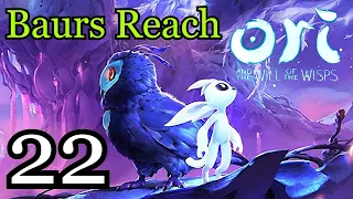 Ori and the Will of the Wisps Part 22 - Baurs Reach