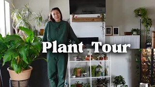 Plant Home Tour | My entire plant collection walkthrough