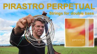 PIRASTRO PERPETUAL Double Bass Strings Review (Plus: How do they compare to Spirocore? Hear both!)