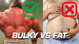 Bulky vs Fat