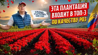 Плантация, которую вы сможете встретить только у GFG | Эквадор | Плантация Huasi