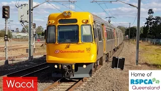 Queensland Rail Vlog 53: Wacol - Home of RSPCA Queensland