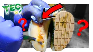 WE HAD TO STRIP AWAY THIS COW’S SOLE, WHY??? | TEC TV