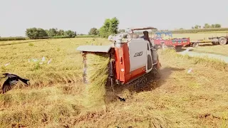 Kubota combine harvester, import from Japan rice cutting machine| farming machine #machine #farming