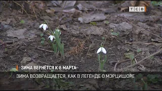 Зима вернётся к 8 марта