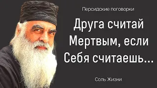 Мощная Мудрость Персии. Короткие и Мудрые Цитаты, пословицы, поговорки великих Восточных людей.