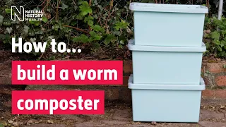 How to build a worm composter | Natural History Museum