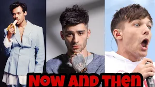 Harry Styles Vs Zayn Malik Vs Louis Tomlinson Transformation From 1 To 26 Years Old