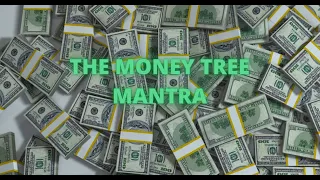 The Money Tree Mantra For Everyone to Use