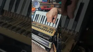 Accordion Repair