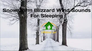 Snowstorm Blizzard Wind Sounds For Sleeping, Relaxing ~ Arctic Howling Winter Ambience II natural