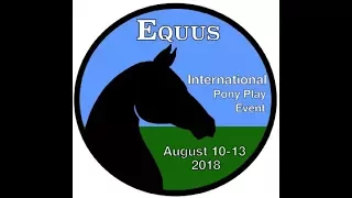 Equus IPPE 2017:  The Pony Show, Moondusk