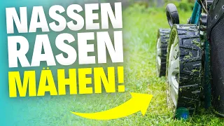 So vermeidest du Schäden am Rasen und Mäher - 6 wichtige Tipps!