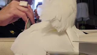 Pedicure for my cockatoo