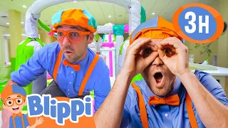 Blippi Visits The Giggle Jungle! | Blippi - Kids Playground | Educational Videos for Kids