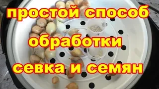 Супер-способ обеззараживания и повышения урожайности прогрев семян и луковиц