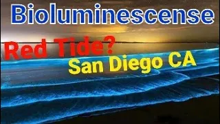 Carlsbad CA - during a red tide bioluminescence event