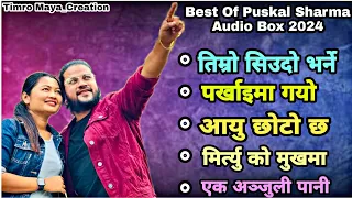❣❣ Puskal Sharma ❣❣ Best Audio Box Collection 2024 || Puskal Sharma Hit Song's Jukebox 2080