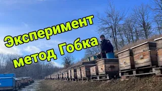 Метод Сергея Гопка на 70 семей!!!