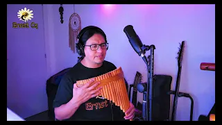 ANOTHER DAY IN THE PARADISE - Phil Collins - cover panflute by Ernst Cq
