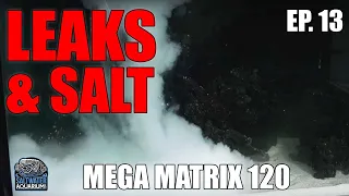 Testing for LEAKS & Adding SALT to Your Aquarium - Mega Matrix 120