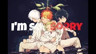 [AMV] The Promised Neverland - I'm so sorry