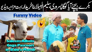 Goga Pasroori as Bakra Beyopari and Saleem Albela Customer | Funny Video from Albela Tv Presentation