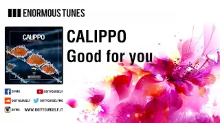 CALIPPO - Good for you [Official]